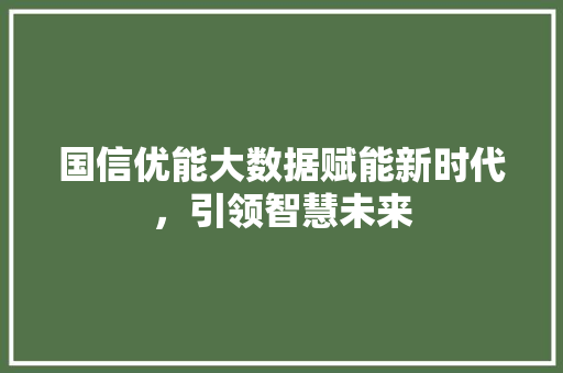 国信优能大数据赋能新时代，引领智慧未来