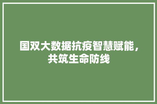 国双大数据抗疫智慧赋能，共筑生命防线 SEO教程