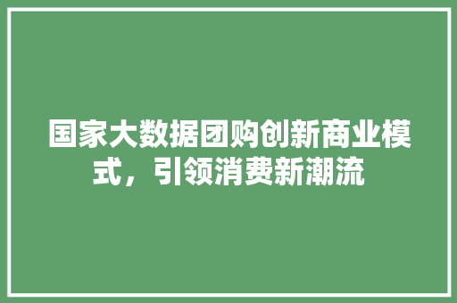 国家大数据团购创新商业模式，引领消费新潮流