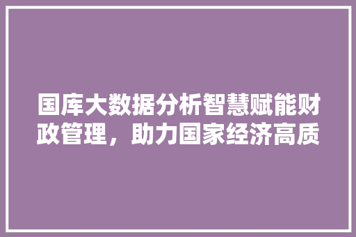 国库大数据分析智慧赋能财政管理，助力国家经济高质量发展 建站教程