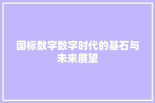 国标数字数字时代的基石与未来展望 建站教程