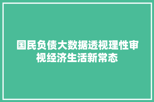 国民负债大数据透视理性审视经济生活新常态 SEO教程