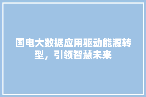 国电大数据应用驱动能源转型，引领智慧未来