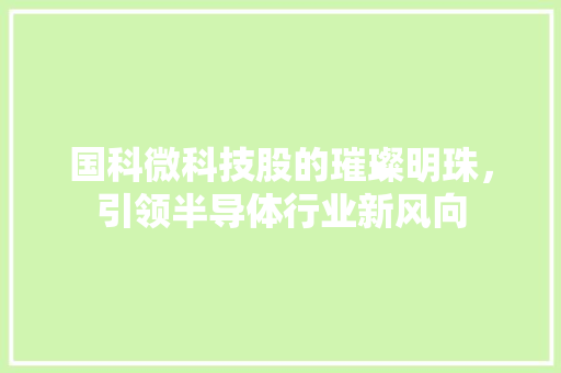 国科微科技股的璀璨明珠，引领半导体行业新风向