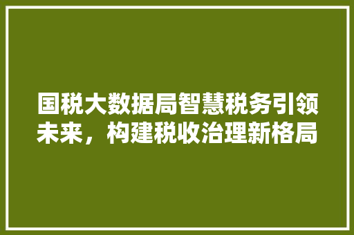 国税大数据局智慧税务引领未来，构建税收治理新格局 友链在线