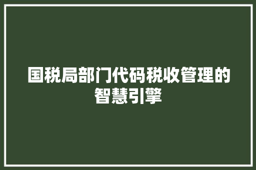 国税局部门代码税收管理的智慧引擎