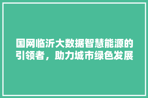 国网临沂大数据智慧能源的引领者，助力城市绿色发展 服务器/数据库