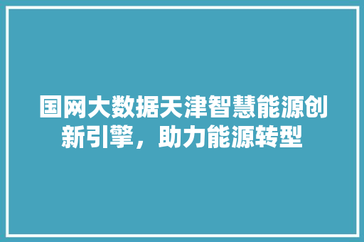 国网大数据天津智慧能源创新引擎，助力能源转型 SEO教程