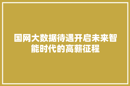 国网大数据待遇开启未来智能时代的高薪征程 服务器/数据库