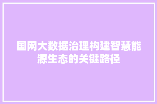国网大数据治理构建智慧能源生态的关键路径 SEO教程