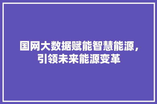 国网大数据赋能智慧能源，引领未来能源变革 Web前端