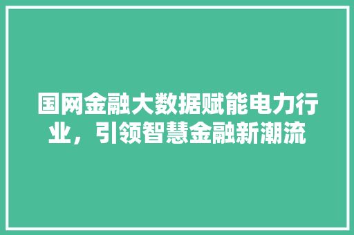 国网金融大数据赋能电力行业，引领智慧金融新潮流 服务器/数据库