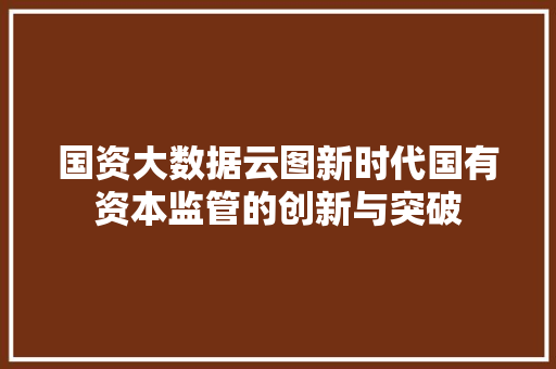 国资大数据云图新时代国有资本监管的创新与突破 SEO教程