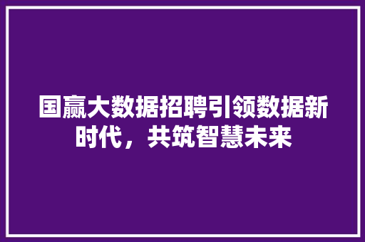 国赢大数据招聘引领数据新时代，共筑智慧未来 SEO教程