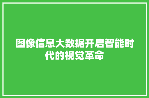 图像信息大数据开启智能时代的视觉革命