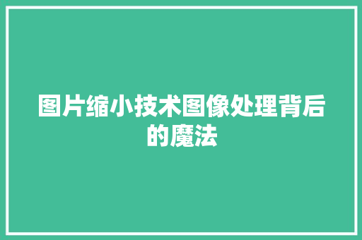 图片缩小技术图像处理背后的魔法 SEO教程