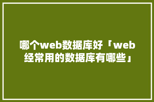 哪个web数据库好「web经常用的数据库有哪些」