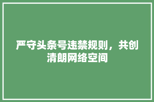 严守头条号违禁规则，共创清朗网络空间 建站教程