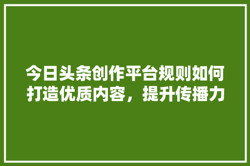 今日头条创作平台规则如何打造优质内容，提升传播力