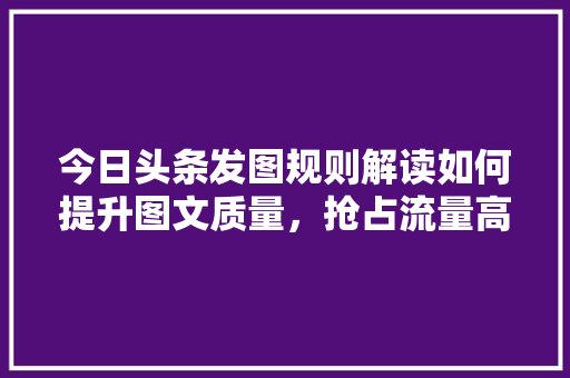 今日头条发图规则解读如何提升图文质量，抢占流量高地 WordPress教程
