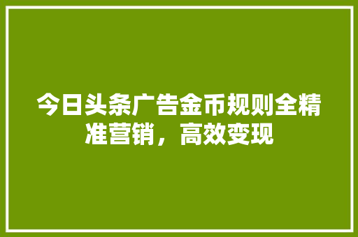 今日头条广告金币规则全精准营销，高效变现