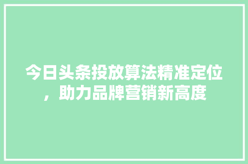 今日头条投放算法精准定位，助力品牌营销新高度
