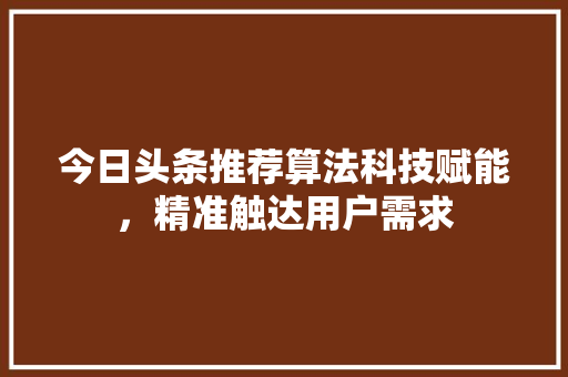 今日头条推荐算法科技赋能，精准触达用户需求