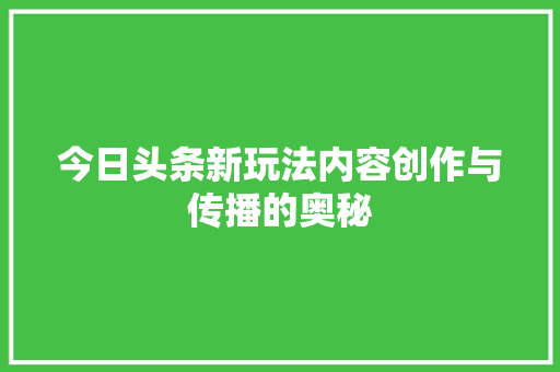 今日头条新玩法内容创作与传播的奥秘