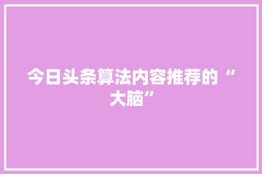 今日头条算法内容推荐的“大脑”