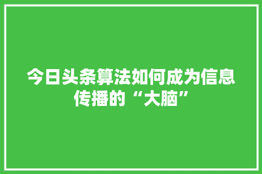 今日头条算法如何成为信息传播的“大脑”