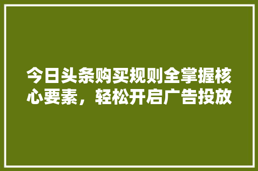 今日头条购买规则全掌握核心要素，轻松开启广告投放之旅