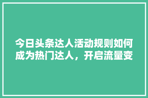 今日头条达人活动规则如何成为热门达人，开启流量变现之路 SEO教程