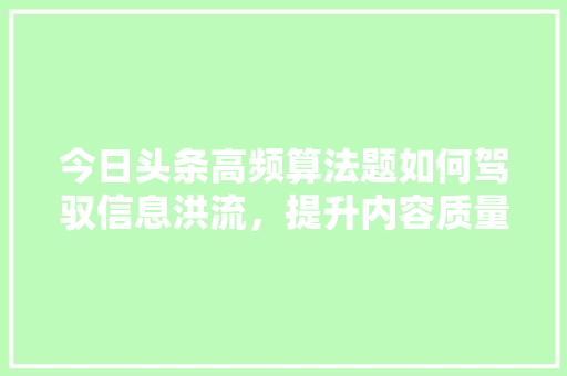 今日头条高频算法题如何驾驭信息洪流，提升内容质量 SEO教程