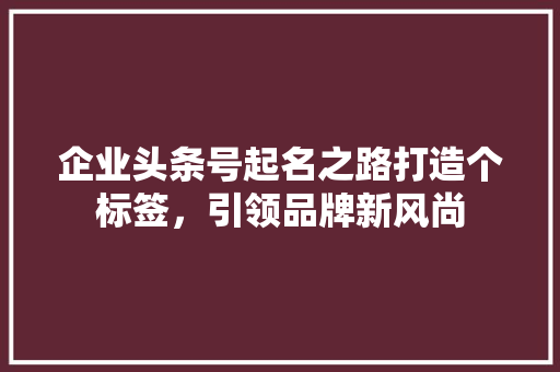 企业头条号起名之路打造个标签，引领品牌新风尚 建站教程