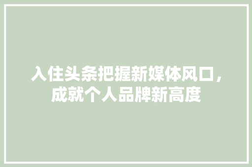 入住头条把握新媒体风口，成就个人品牌新高度 SEO教程