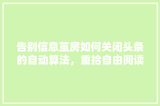 告别信息茧房如何关闭头条的自动算法，重拾自由阅读之旅 SEO教程