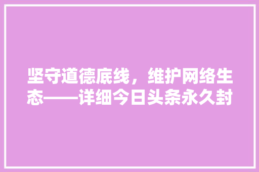 坚守道德底线，维护网络生态——详细今日头条永久封禁规则