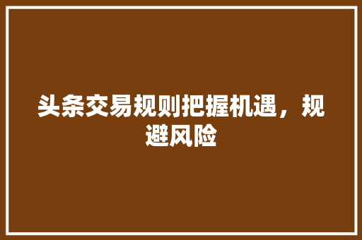 头条交易规则把握机遇，规避风险