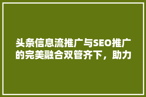 头条信息流推广与SEO推广的完美融合双管齐下，助力企业腾飞 WordPress教程