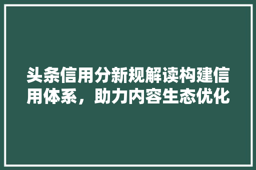 头条信用分新规解读构建信用体系，助力内容生态优化 建站教程