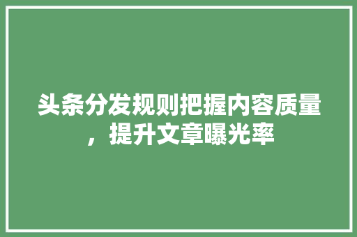 头条分发规则把握内容质量，提升文章曝光率 建站教程