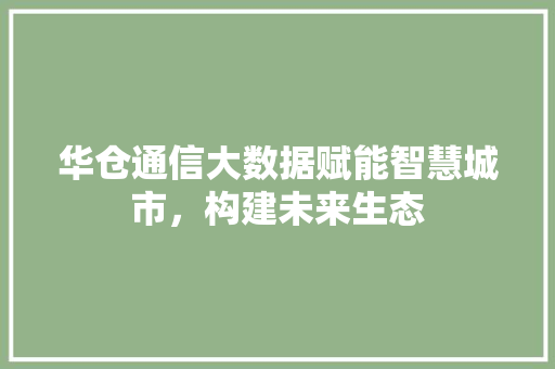 华仓通信大数据赋能智慧城市，构建未来生态