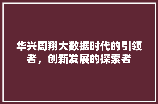 华兴周翔大数据时代的引领者，创新发展的探索者 服务器/数据库
