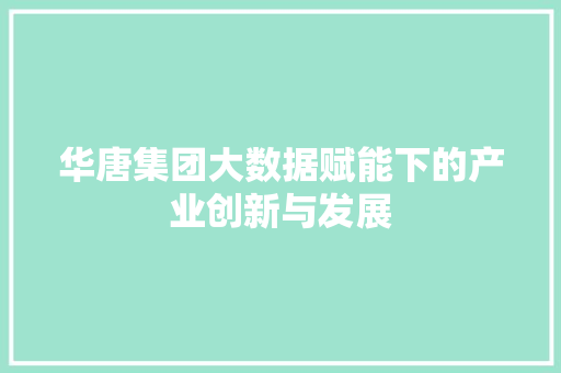 华唐集团大数据赋能下的产业创新与发展