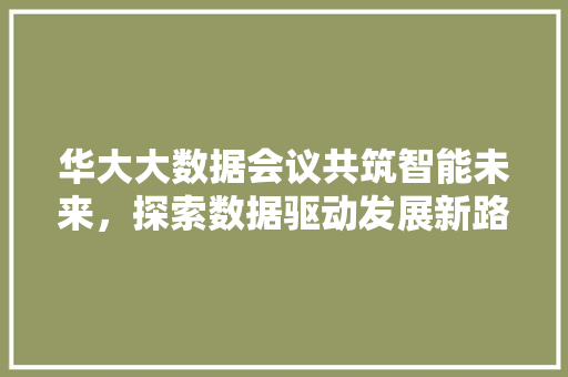 华大大数据会议共筑智能未来，探索数据驱动发展新路径