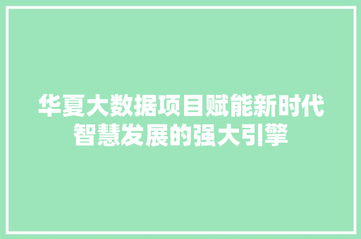 华夏大数据项目赋能新时代智慧发展的强大引擎