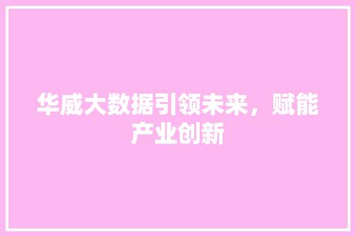 华威大数据引领未来，赋能产业创新