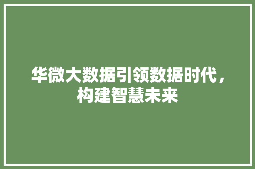 华微大数据引领数据时代，构建智慧未来