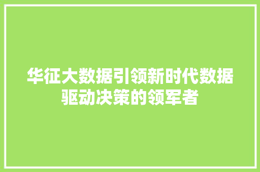 华征大数据引领新时代数据驱动决策的领军者