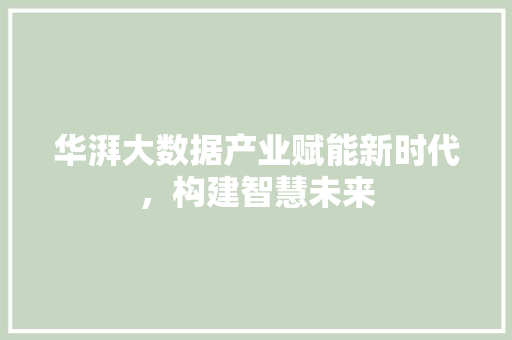 华湃大数据产业赋能新时代，构建智慧未来
